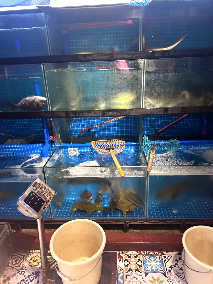 水槽に並ぶ活け海鮮