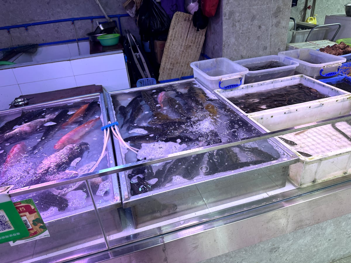 氷の上に並んだ鮮魚