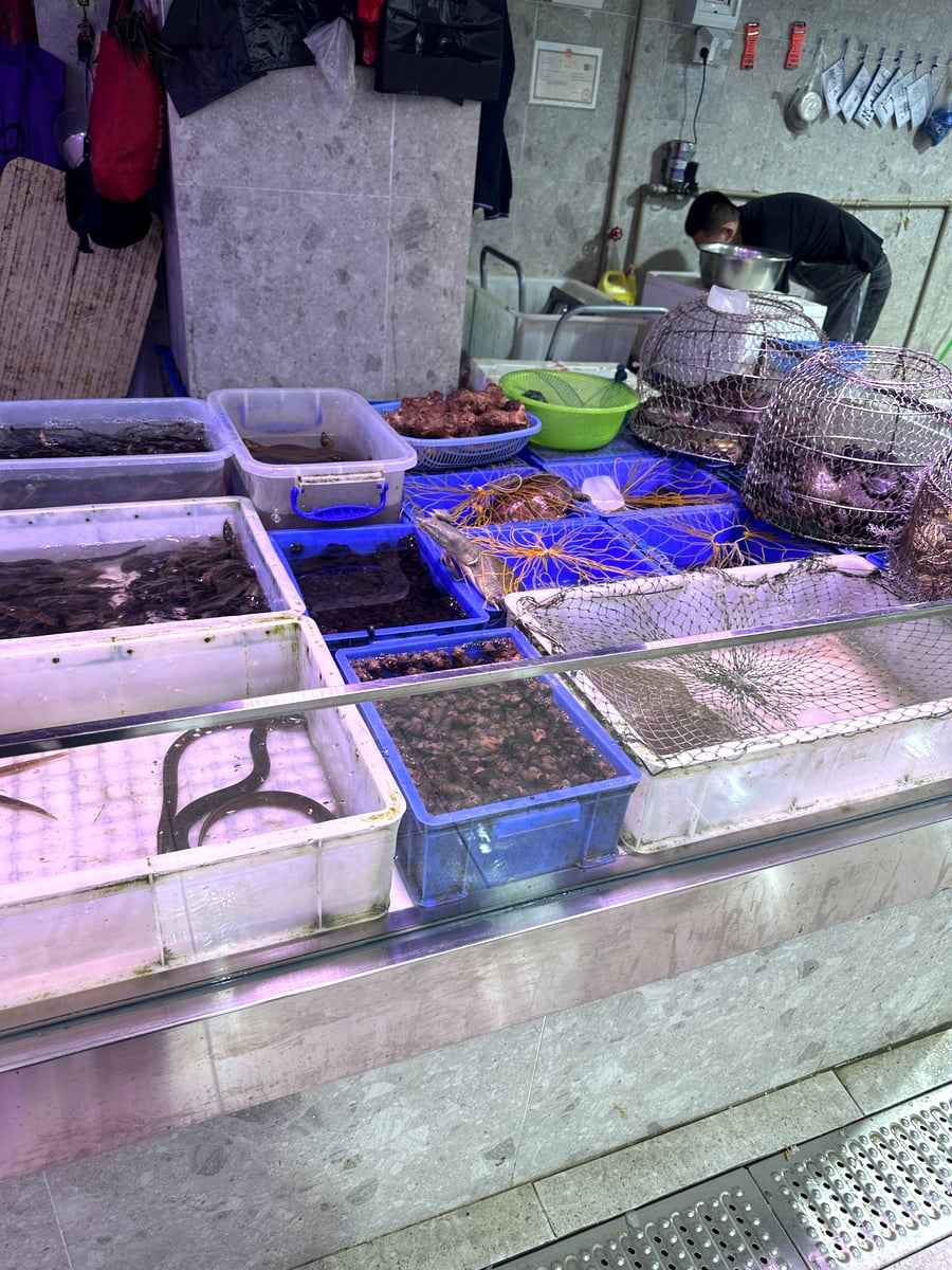 水槽の中で泳ぐ活魚を選ぶ様子
