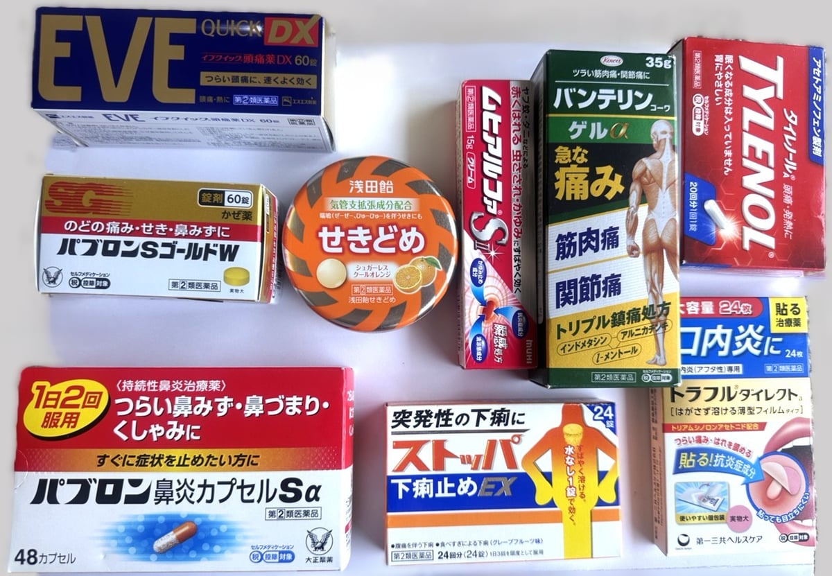 日本から持参した大人用の常備薬一式
